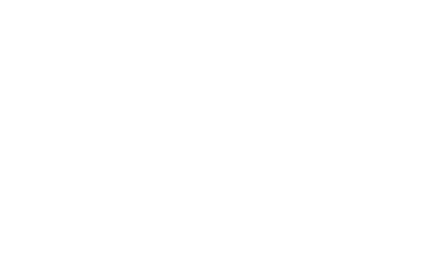 flexurance